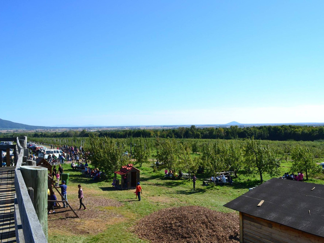 Vergers Petit et Fils-Mont-Saint-Hilaire必去景点