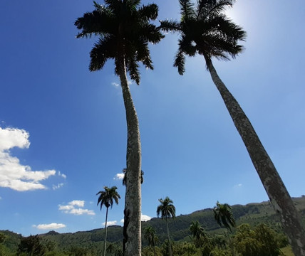 Yasica Arriba旅游攻略图片