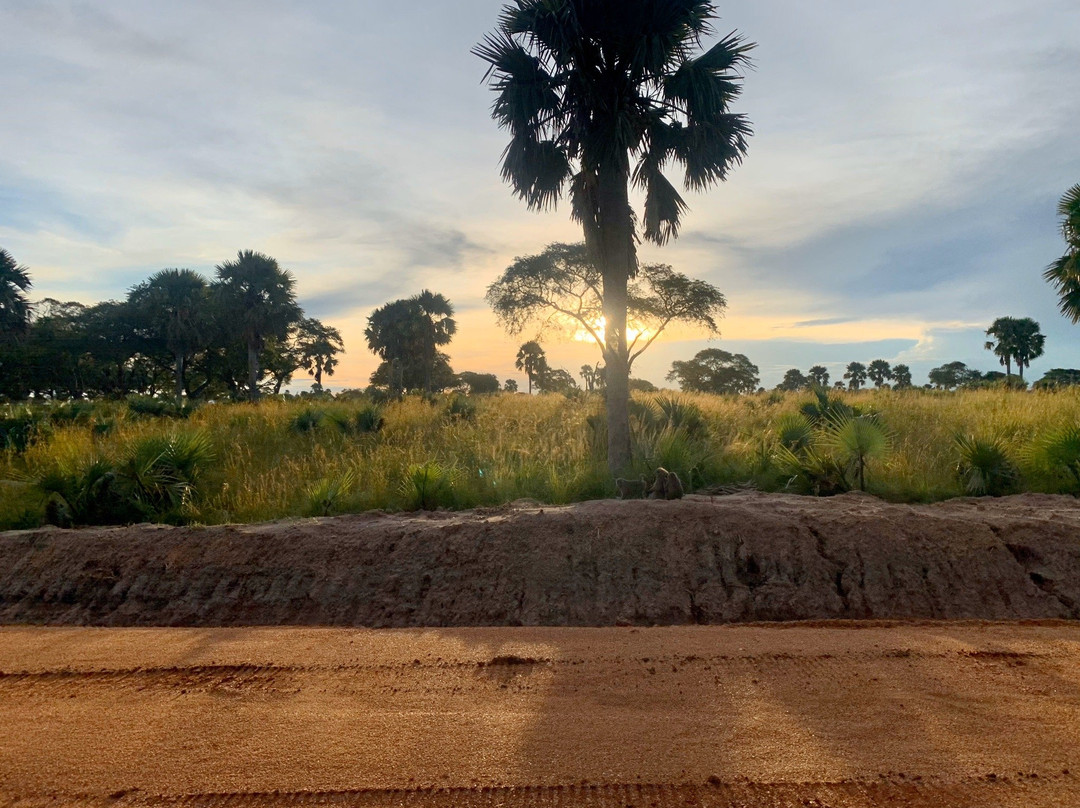 Love Uganda Safaris-坎帕拉必去景点