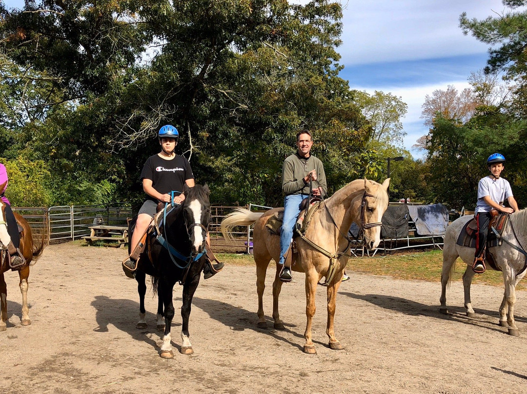 C and L Stables-West Warwick必去景点