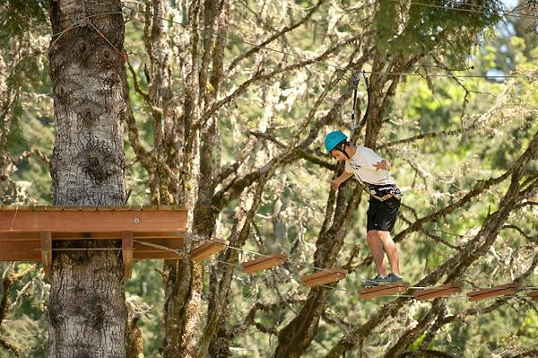 Tree to Tree Adventure Park