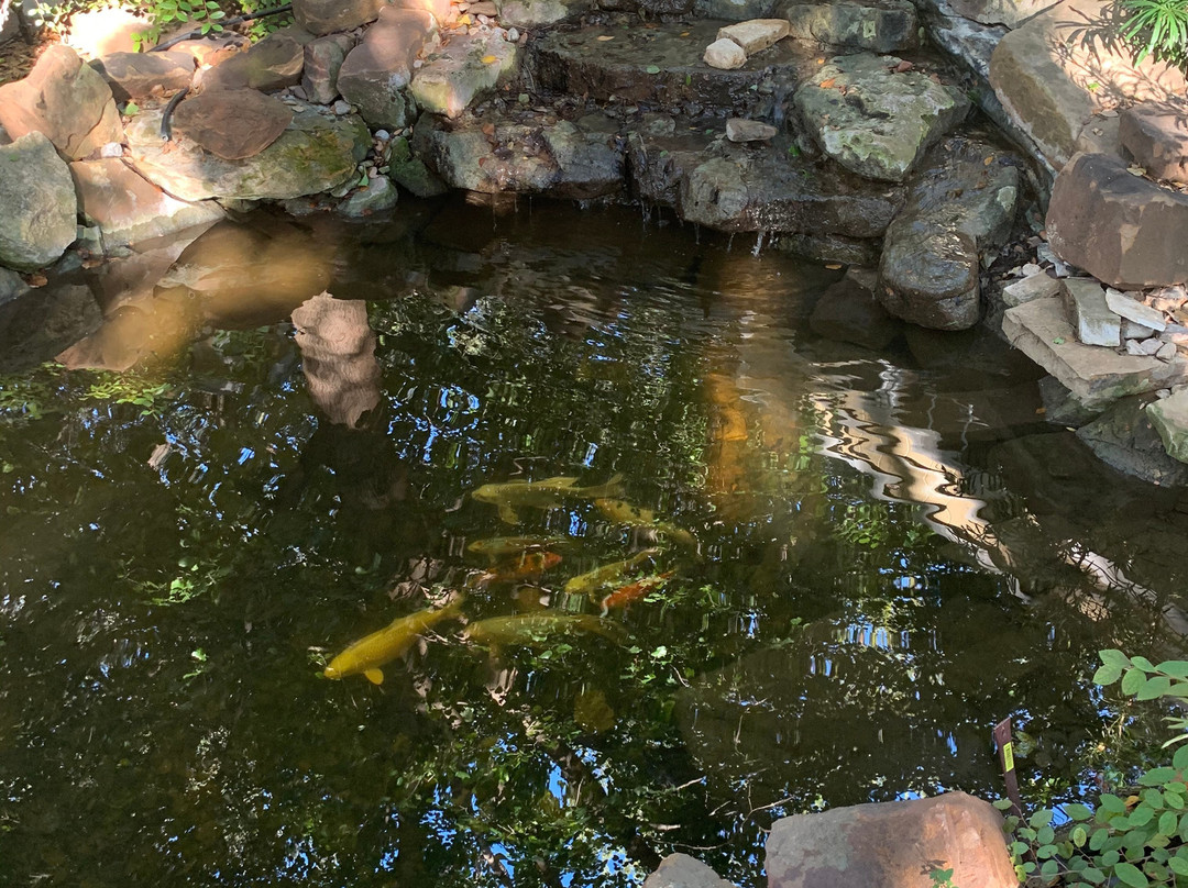 Pomegranate House & Cottages B&B主图