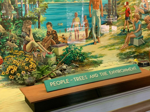 Forest Heritage Center Museum-Broken Bow必去景点