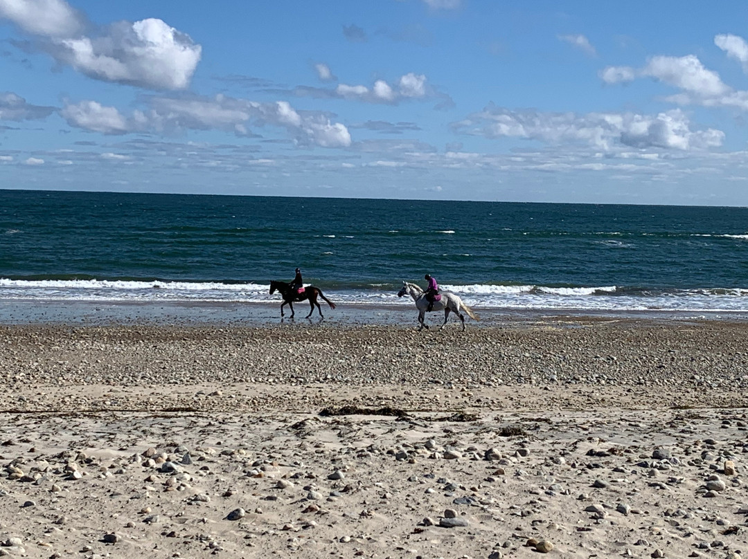 Long Beach景点图片