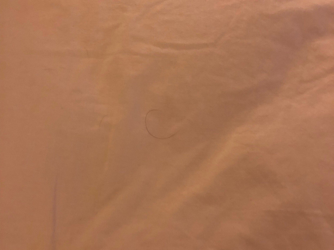 AmericInn by Wyndham Hartford WI主图