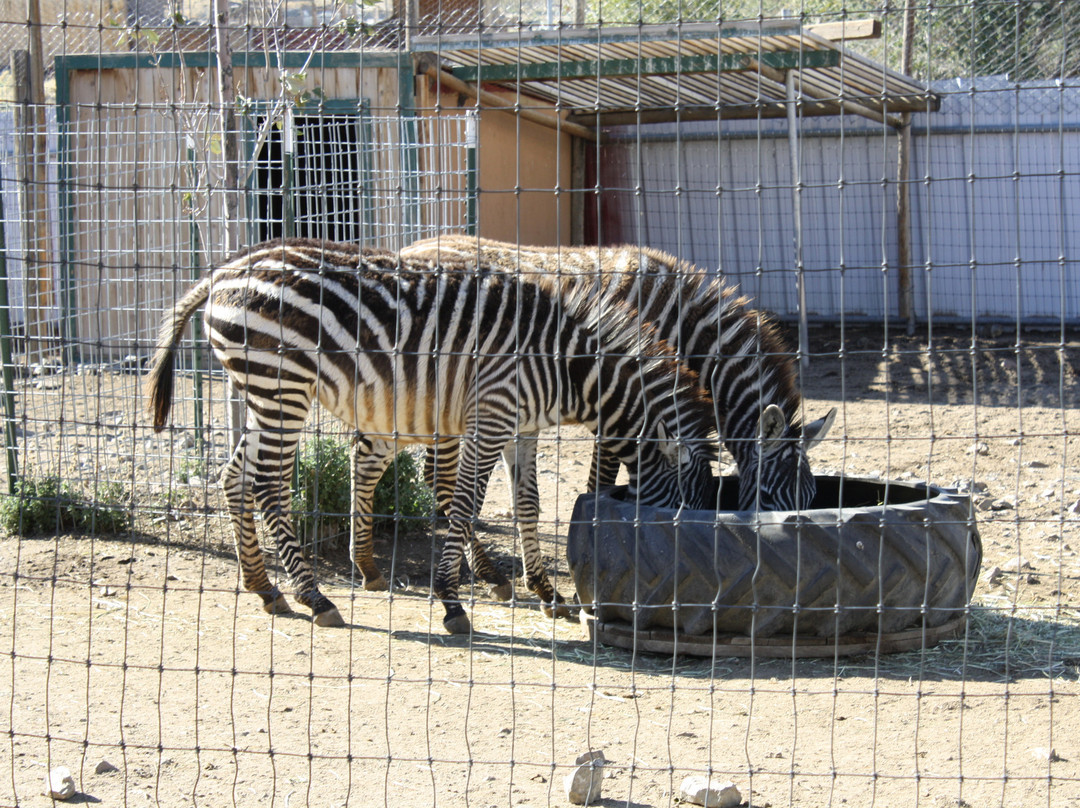 Sierra Nevada Zoological Park景点图片