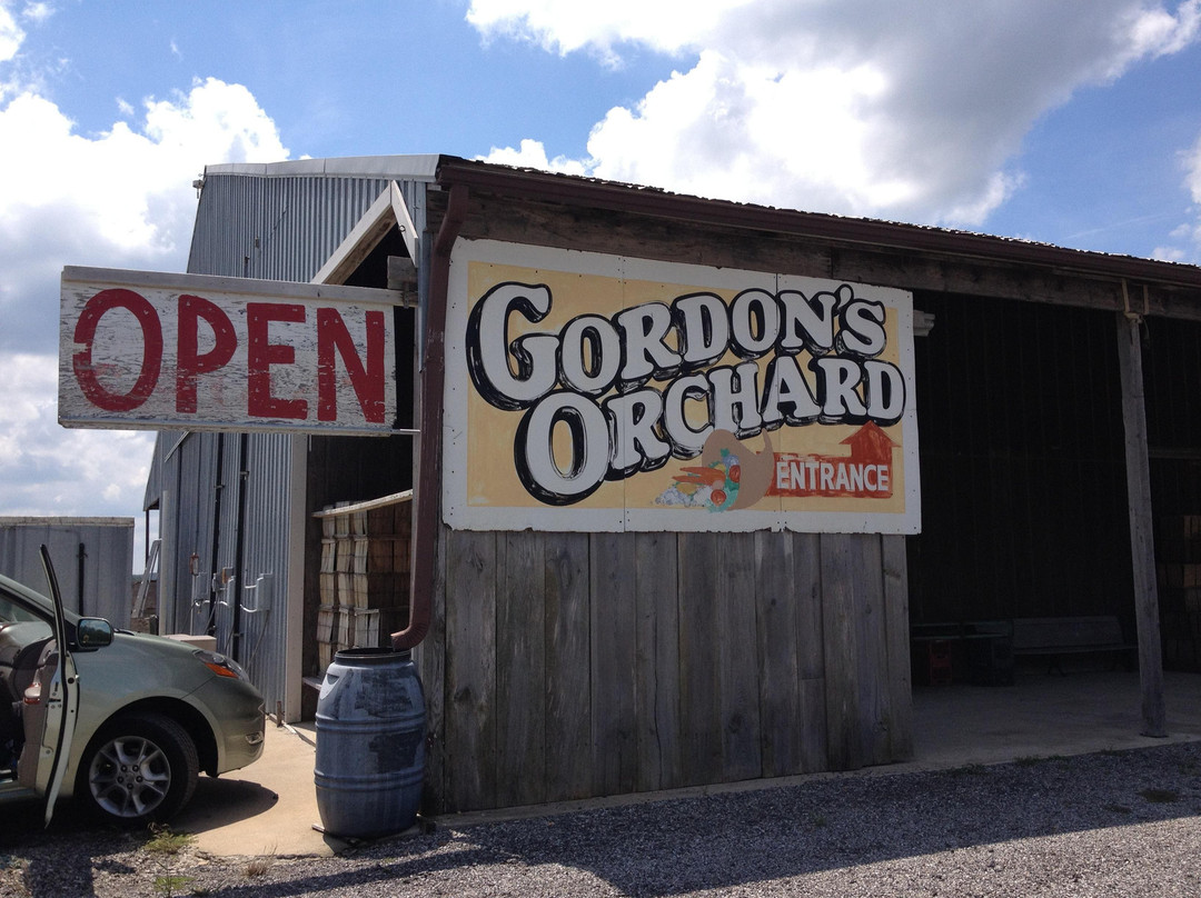 Gordon's Orchard景点图片