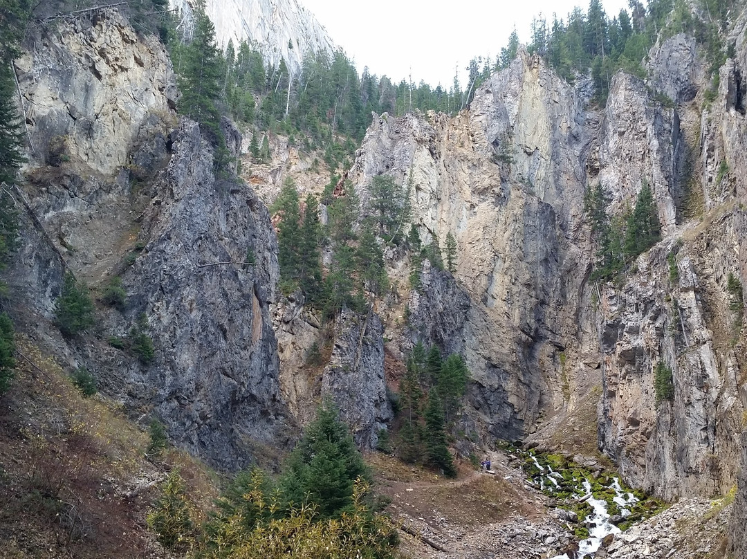 World's Largest Intermittent Spring景点图片