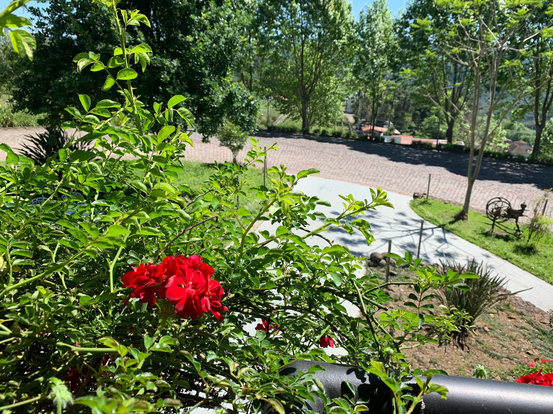 Pousada Terragnolo主图