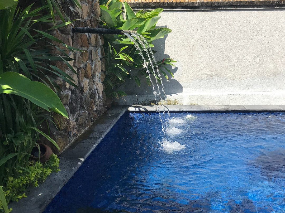 巴厘岛牛加丁豪华水疗别墅