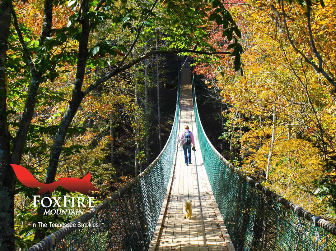 Foxfire Mountain Swinging Bridge景点图片