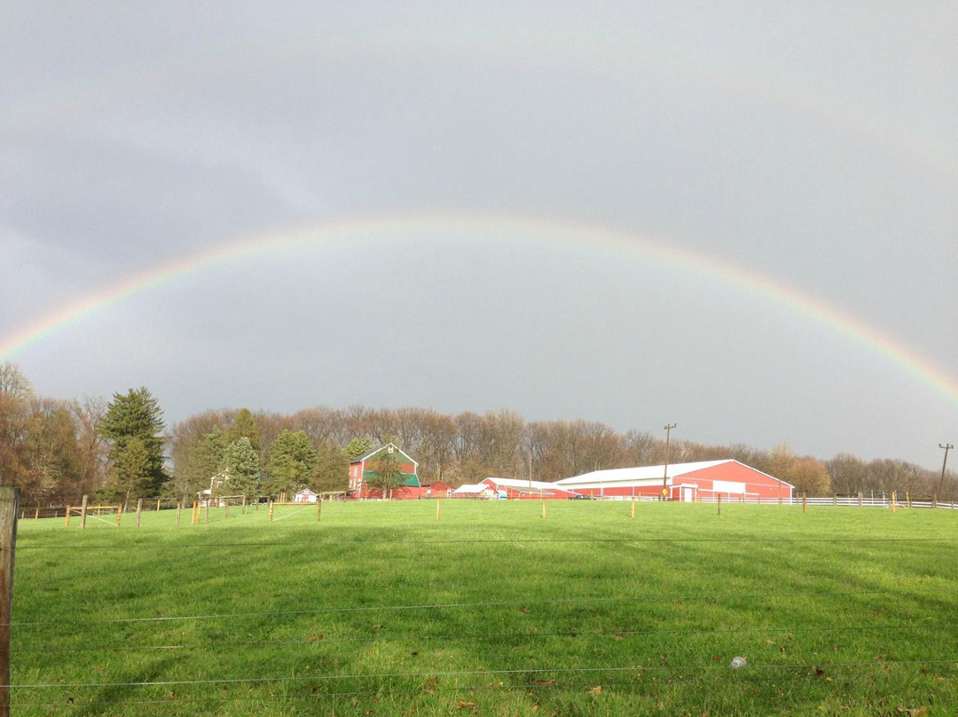 Springtown旅游景点-Flint Hill Farm AG