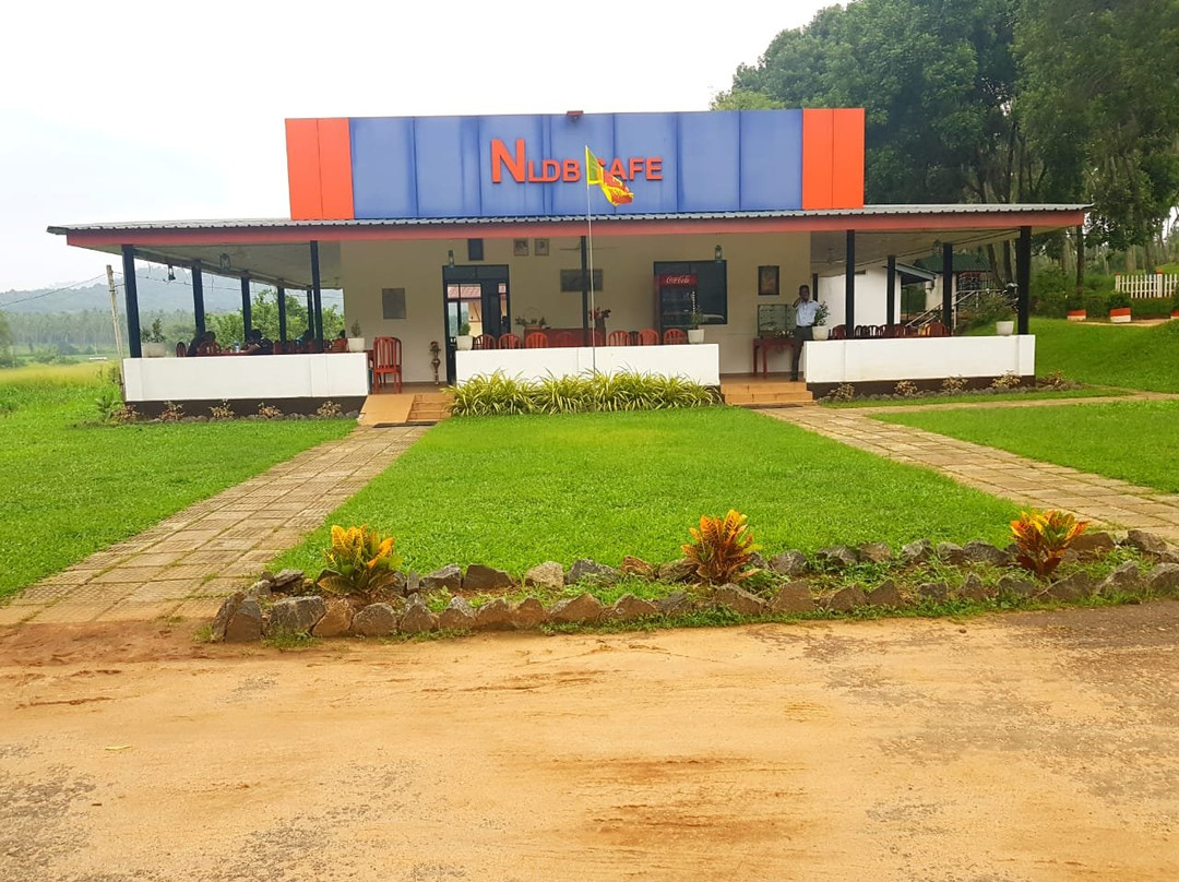 NLDB Cafe