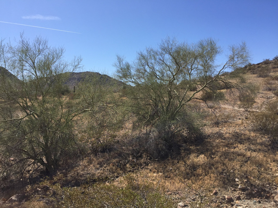 Estrella Mountain Regional Park-嘉年必去景点