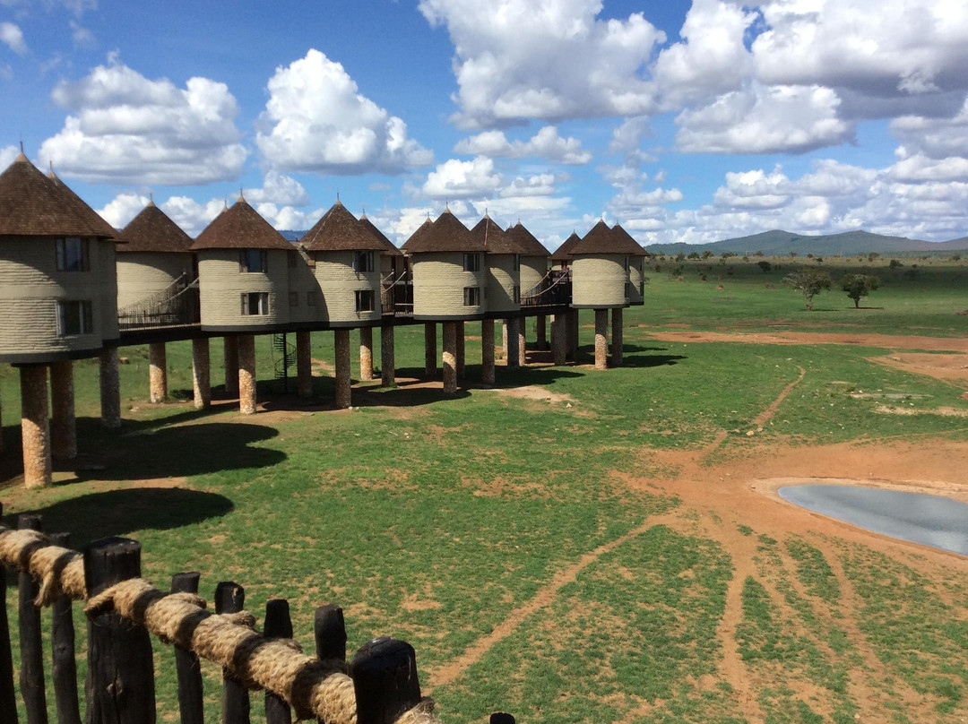 FRENZY ADVENTURES LIMITED-蒙巴萨必去景点