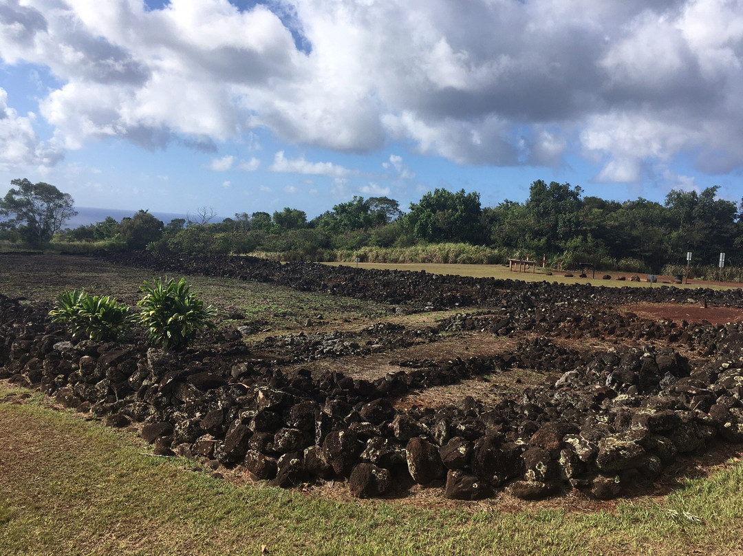 Hawaii Jeep & Specialty Tours-火奴鲁鲁必去景点