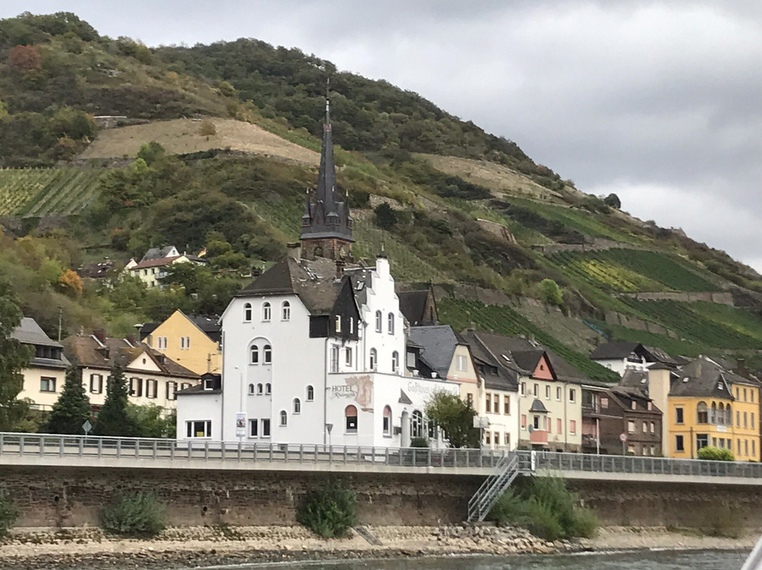 Rhine River Day Cruises-莱茵河畔宾根必去景点