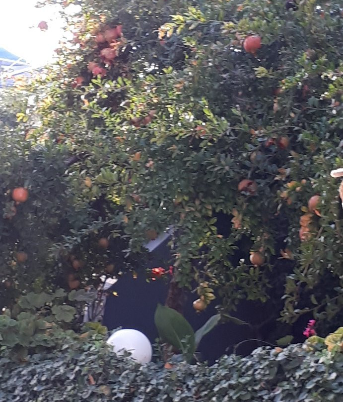 Poseidon Hotel主图