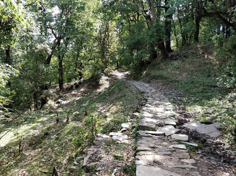 Magpie Jungle Camp Chopta Uttarakhand主图