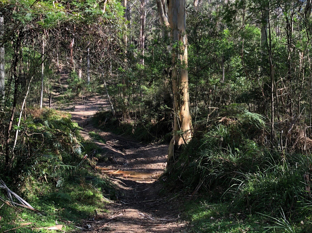 Long Angle Road Fire Trail景点图片