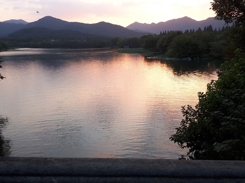 Scarlett Mao Tours-上海市必去景点