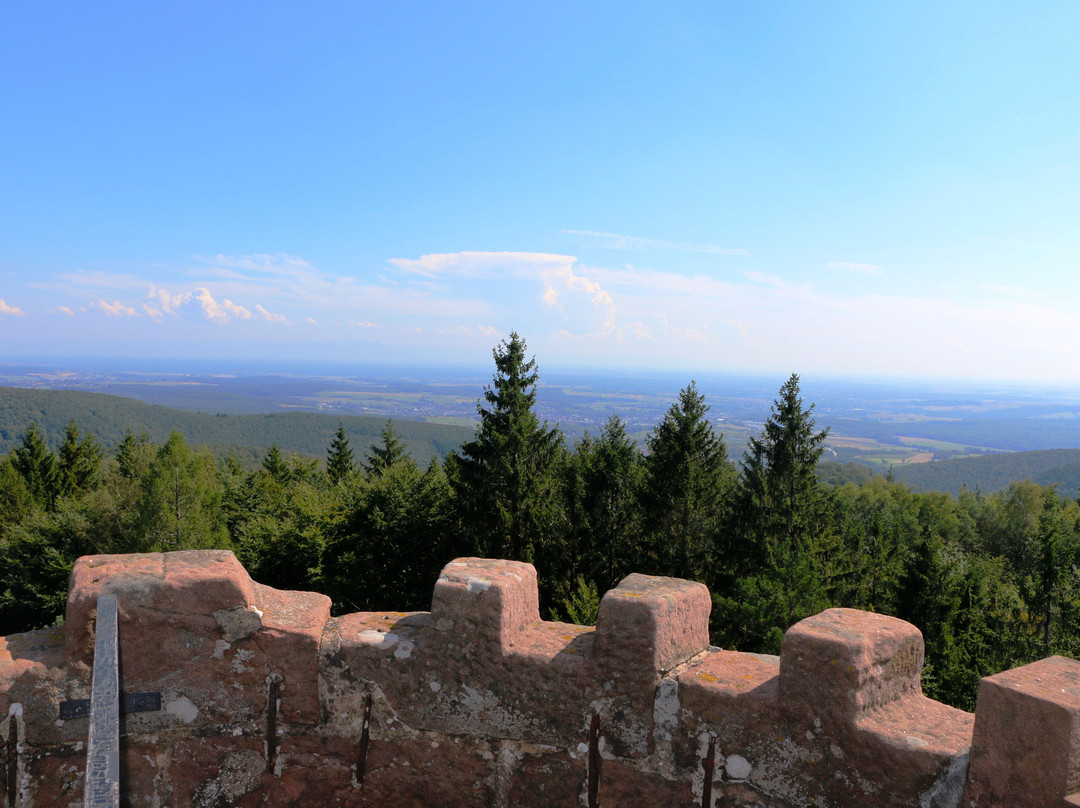 Tour Panoramique du Grand Wintersberg景点图片