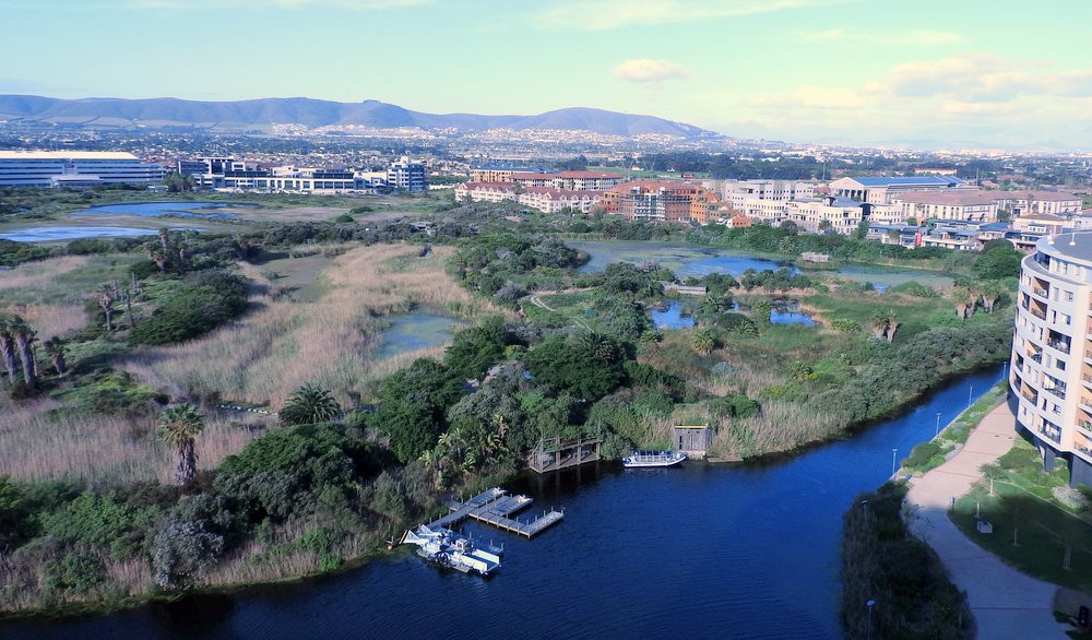 Intaka Island-开普敦中心区必去景点