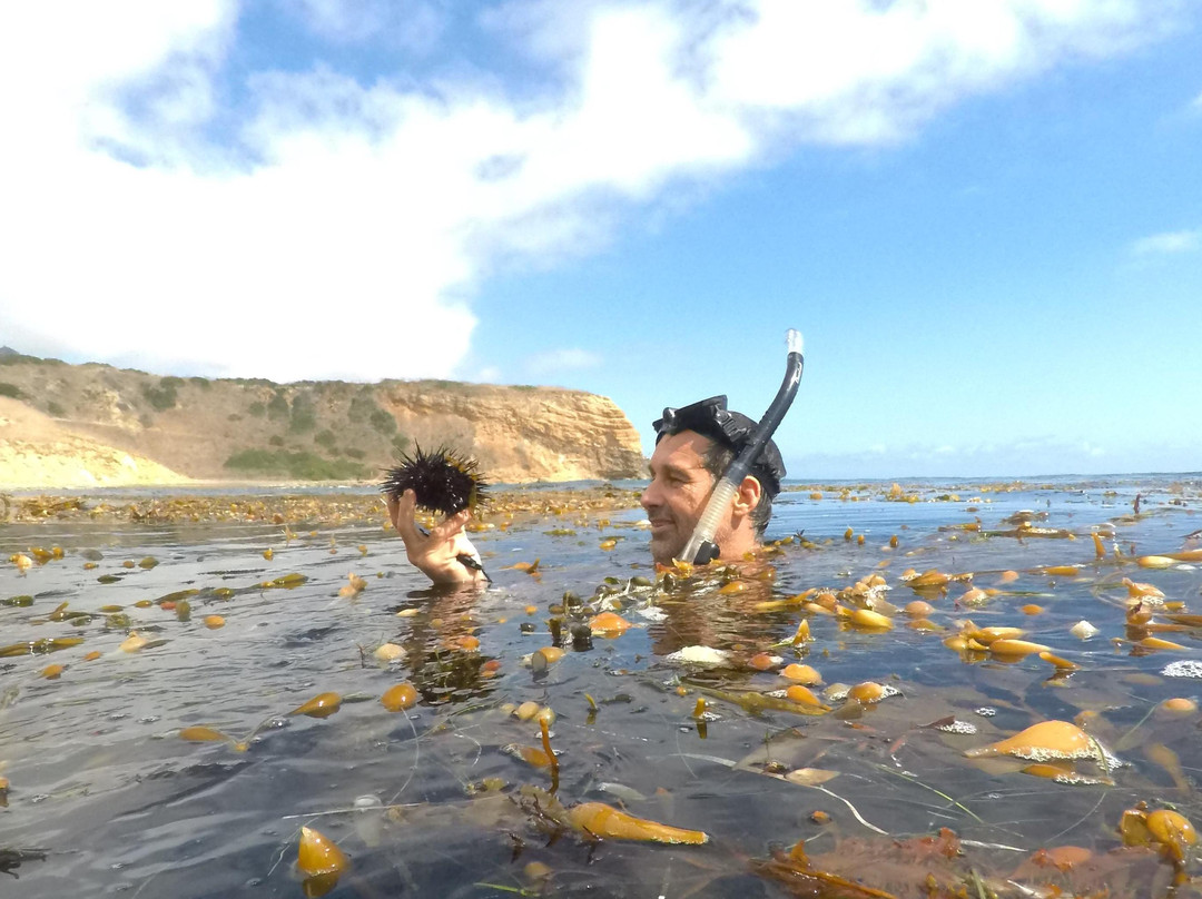 KAYAK, SNORKEL, SURF SOUTHERN CALIFORNIA-雷东多海滩必去景点