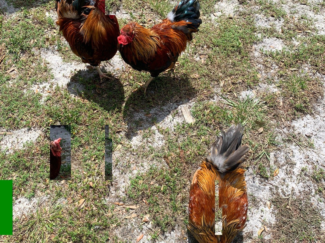 Henscratch Farms Vineyard & Winery-Lake Placid必去景点