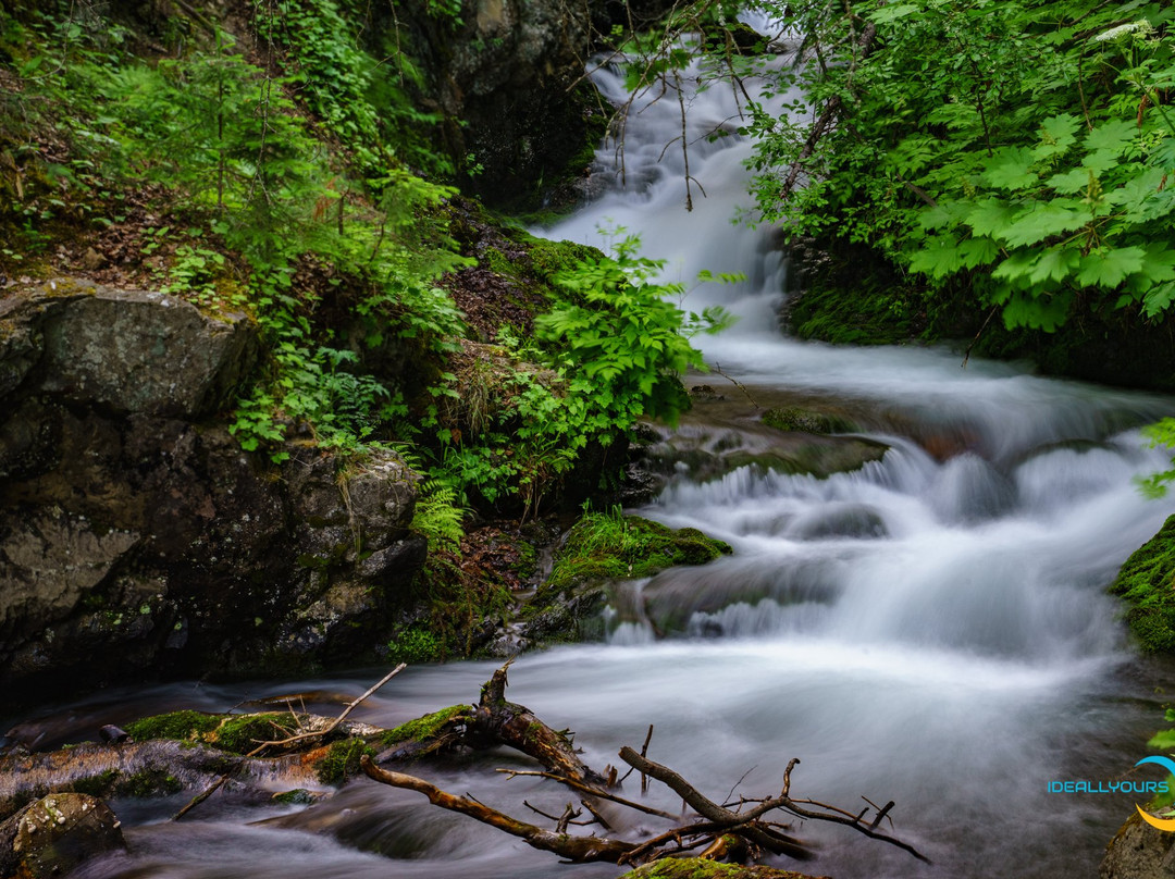 McHugh Creek Recreation Area景点图片