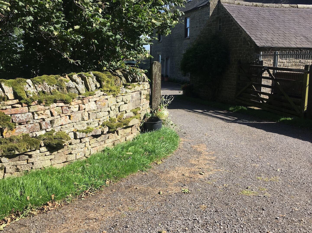 Hannah's Meadow-Barnard Castle必去景点