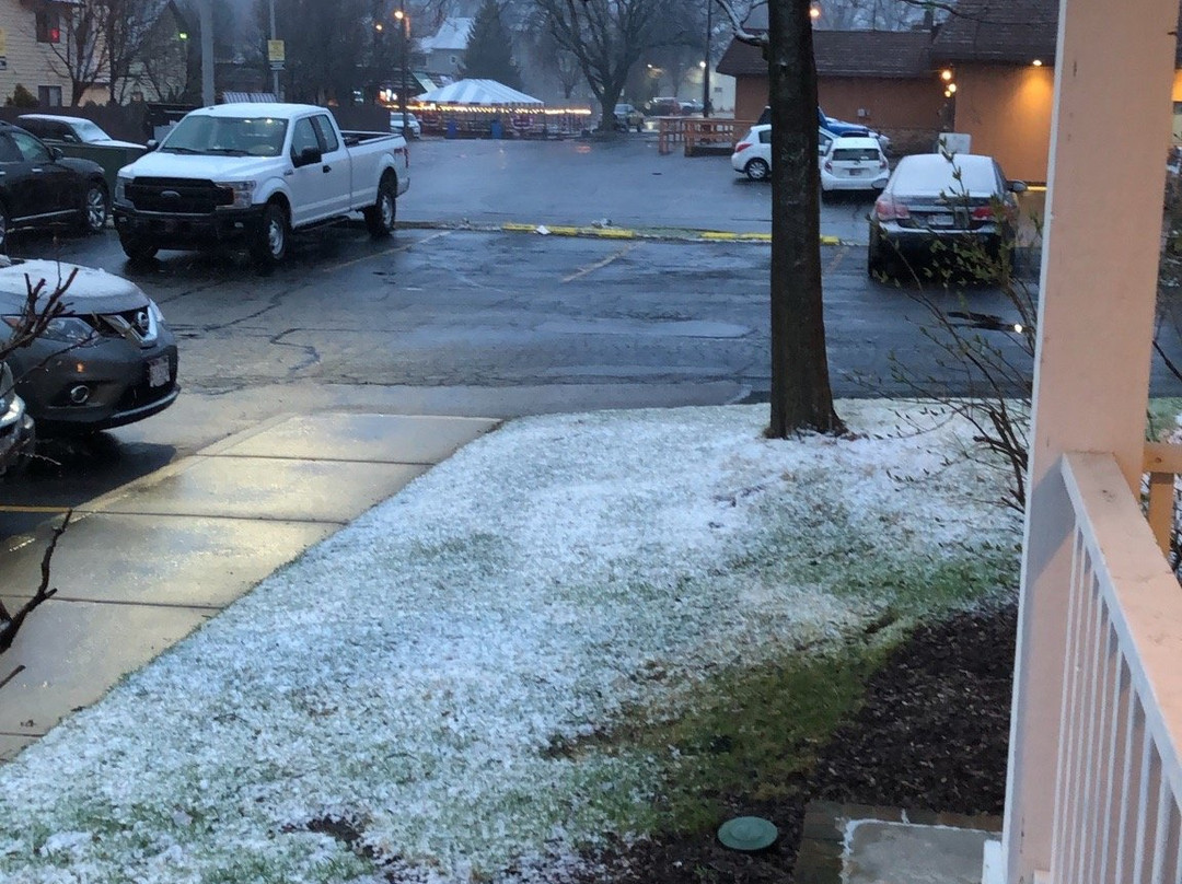 Ivy Court Inn & Suites主图