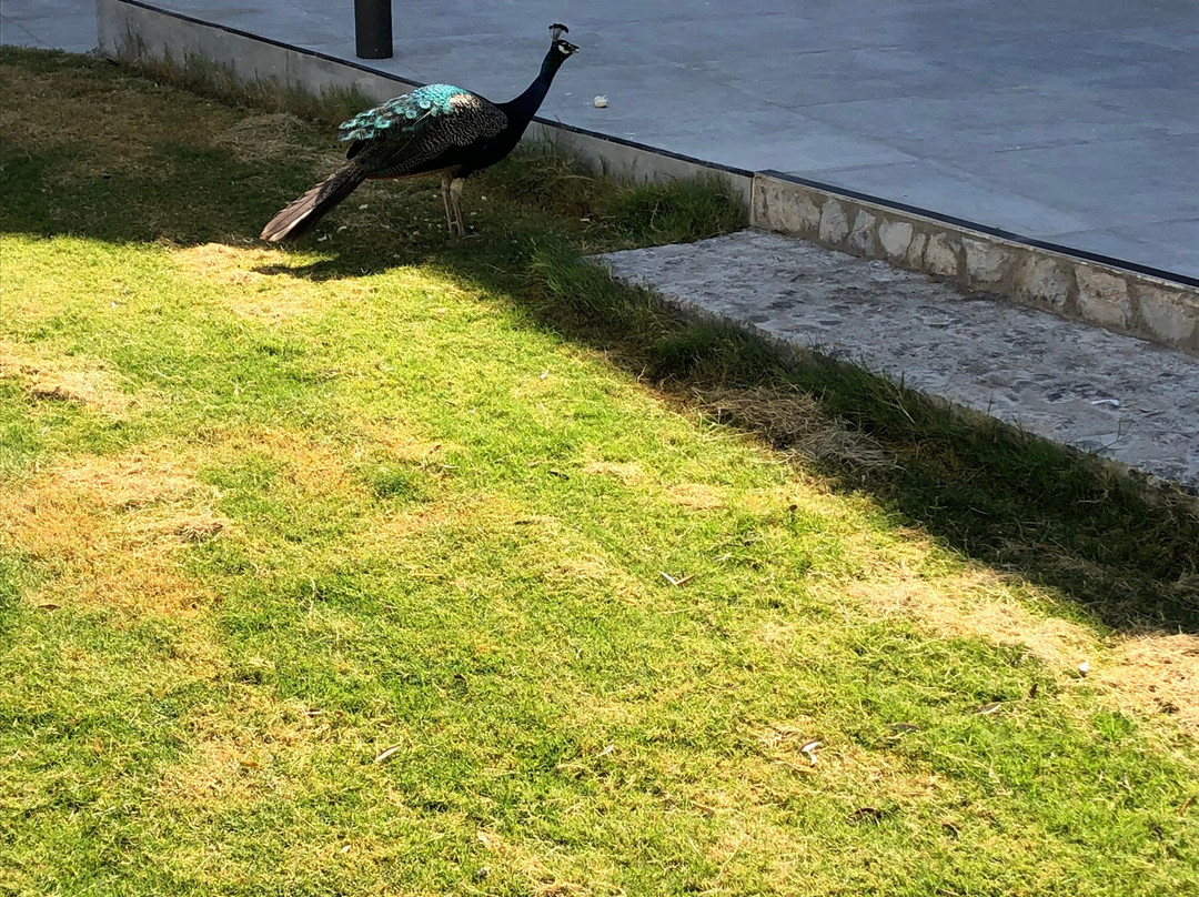 Atalanti Boutique Hotel主图