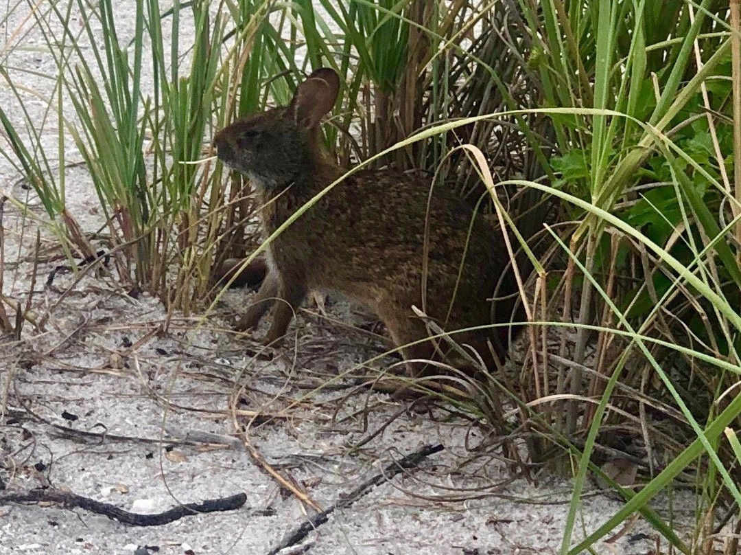 Waterside Inn on the Beach主图