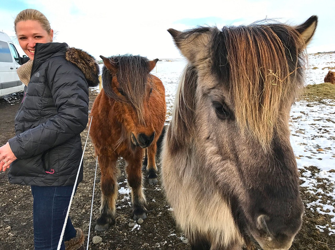 Iceland Discovery-科帕伏古必去景点
