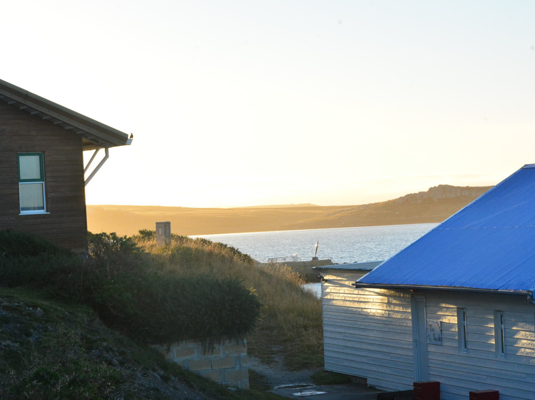 Shorty's Motel主图