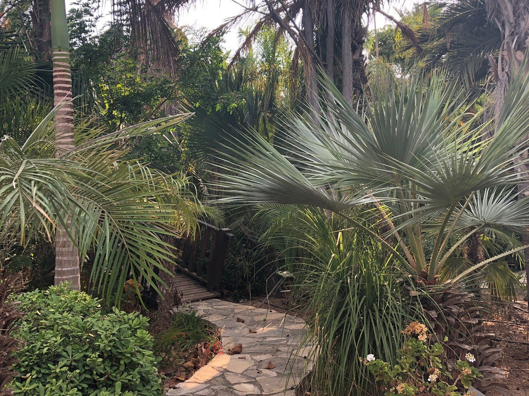 Eleouthkia Traditional and Botanical Park-帕福斯必去景点