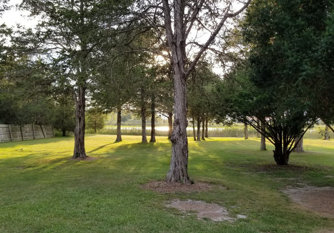 Union City旅游攻略图片