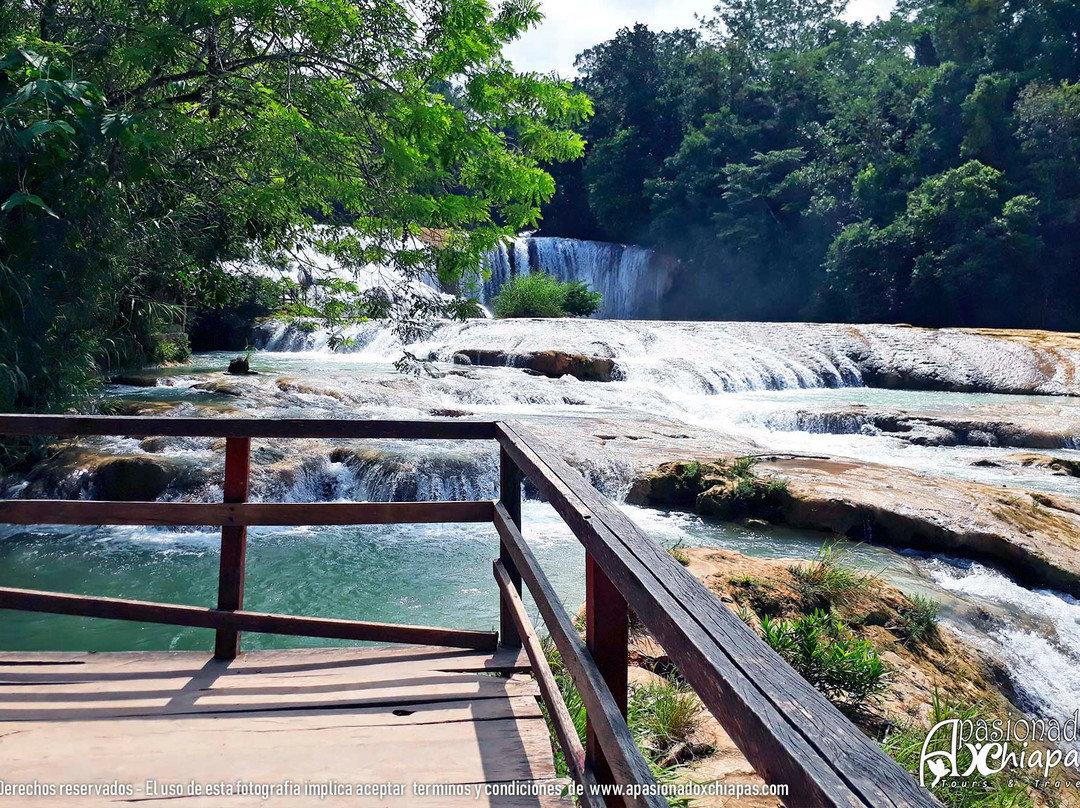 Apasionado X Chiapas-Ocosingo必去景点