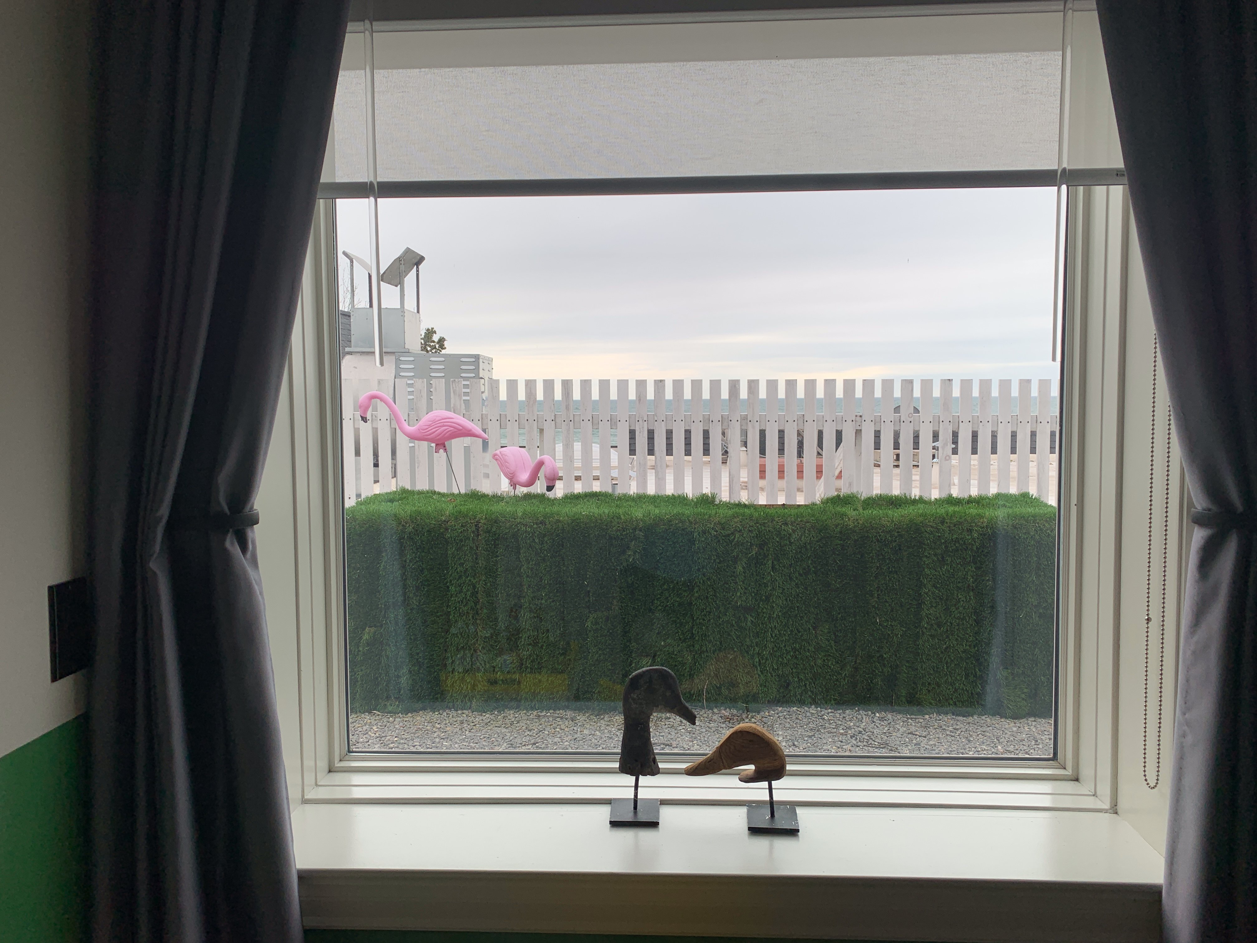 德雷克德文郡宾馆-酒店景观