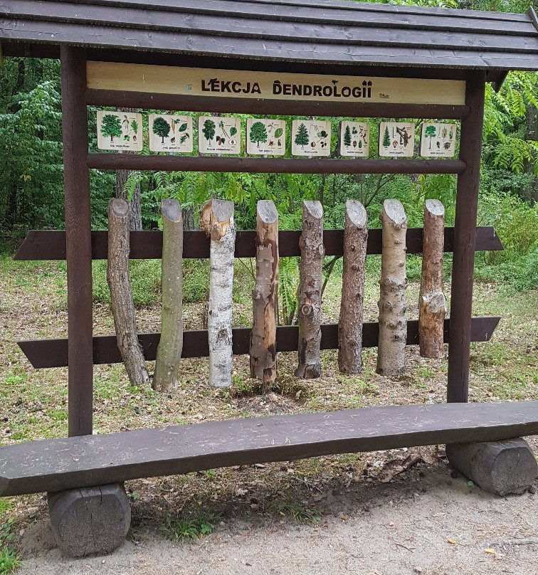 Lesne Arboretum Warmii i Mazur-奥尔什丁必去景点
