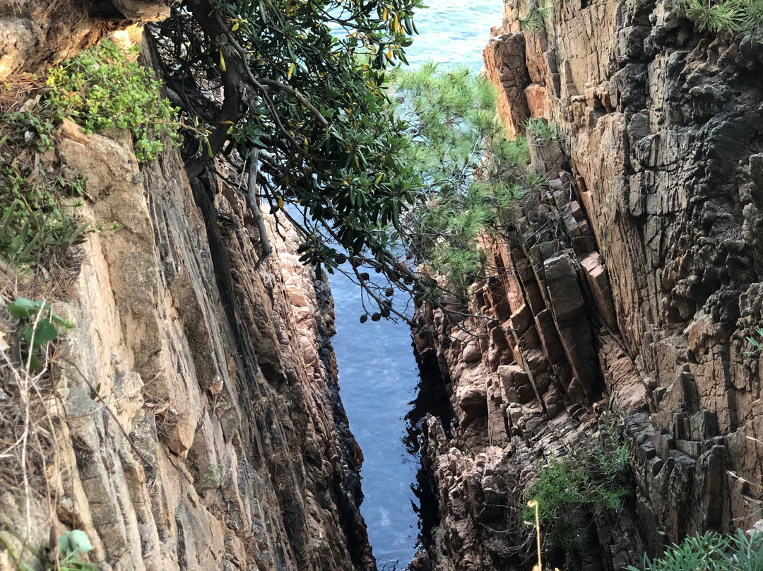 Aigua Xelida景点图片