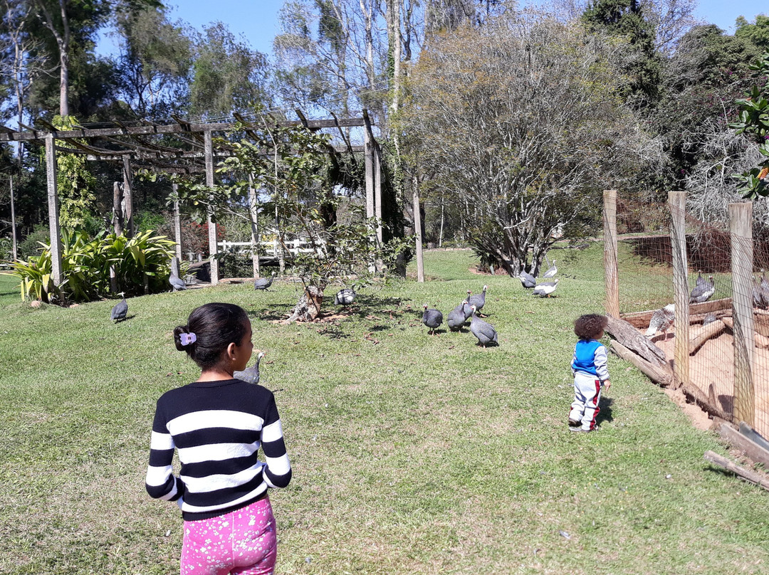 Hotel Fazenda São Francisco主图