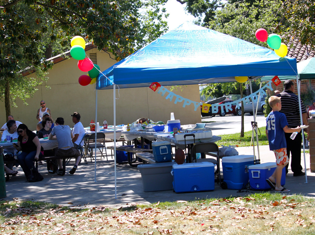 Lodi Lake Park-洛迪必去景点