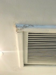 Caribbean World Hammamet Garden主图