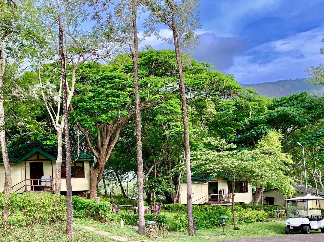 The Monarch Safari Park主图