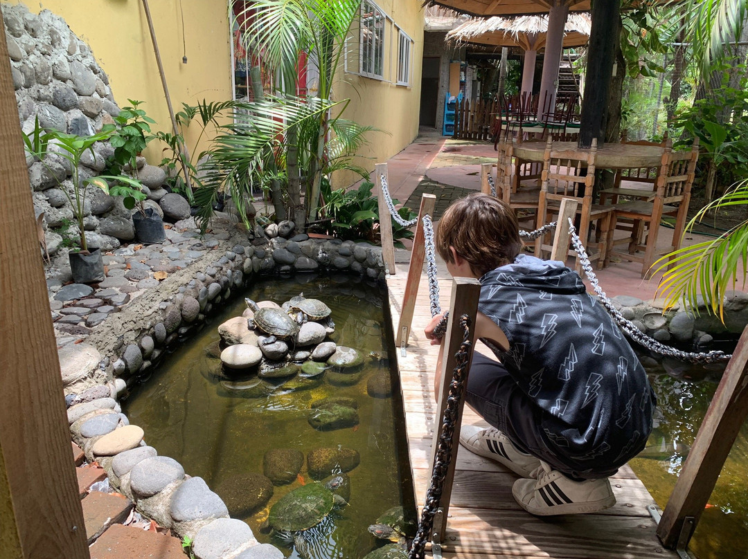 Zona Arqueologica de Cempoala-Zempoala必去景点