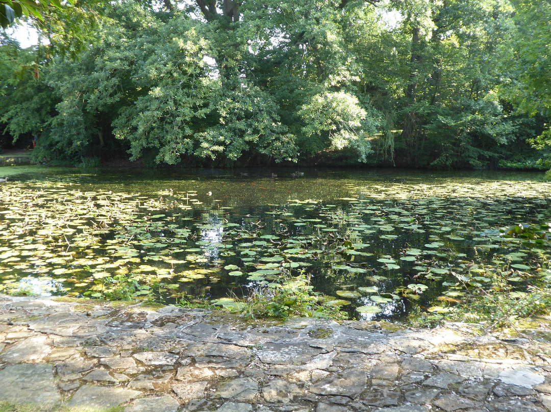 Ghyll Manor Hotel & Restaurant主图