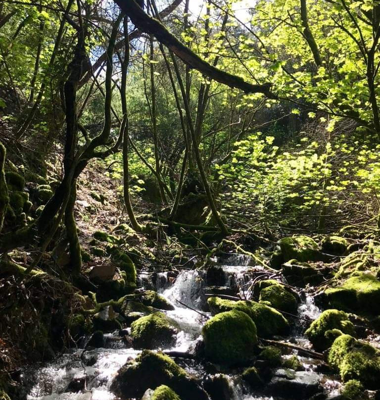 Passa Montanhas Trekking and Tours-奥比都斯必去景点