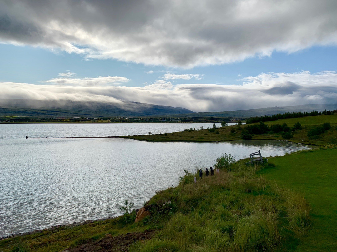 Skipalaekur Iceland主图